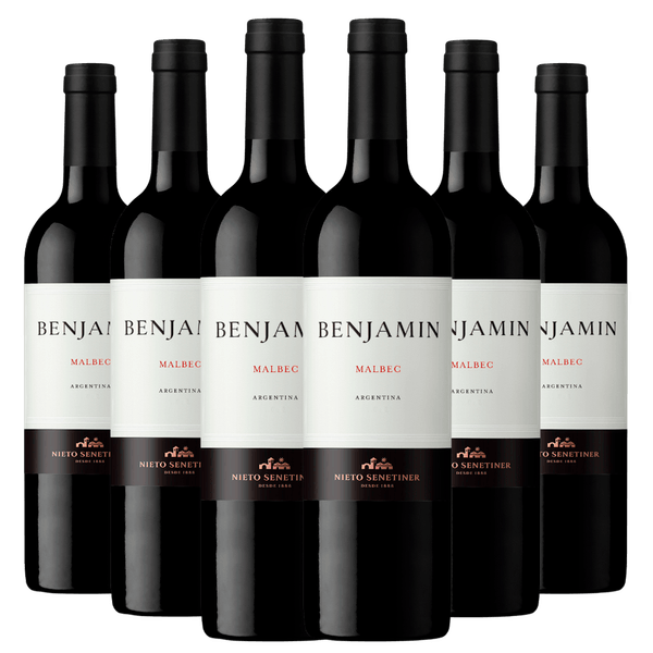 Kit Caixa Fechada 6 Vinhos Benjamin Malbec