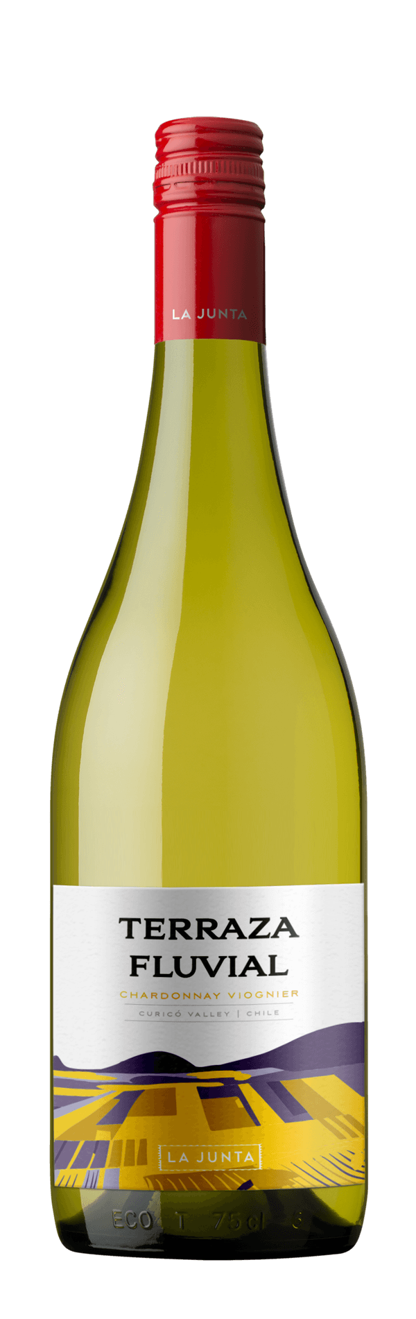 Vinho Branco Chileno Terraza Fluvial Chardonnay Viognier