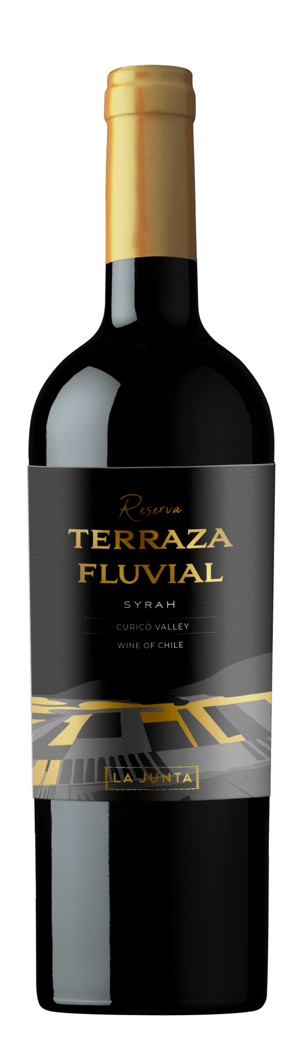 Vinho Tinto Chileno Terraza Fluvial Reserva Syrah