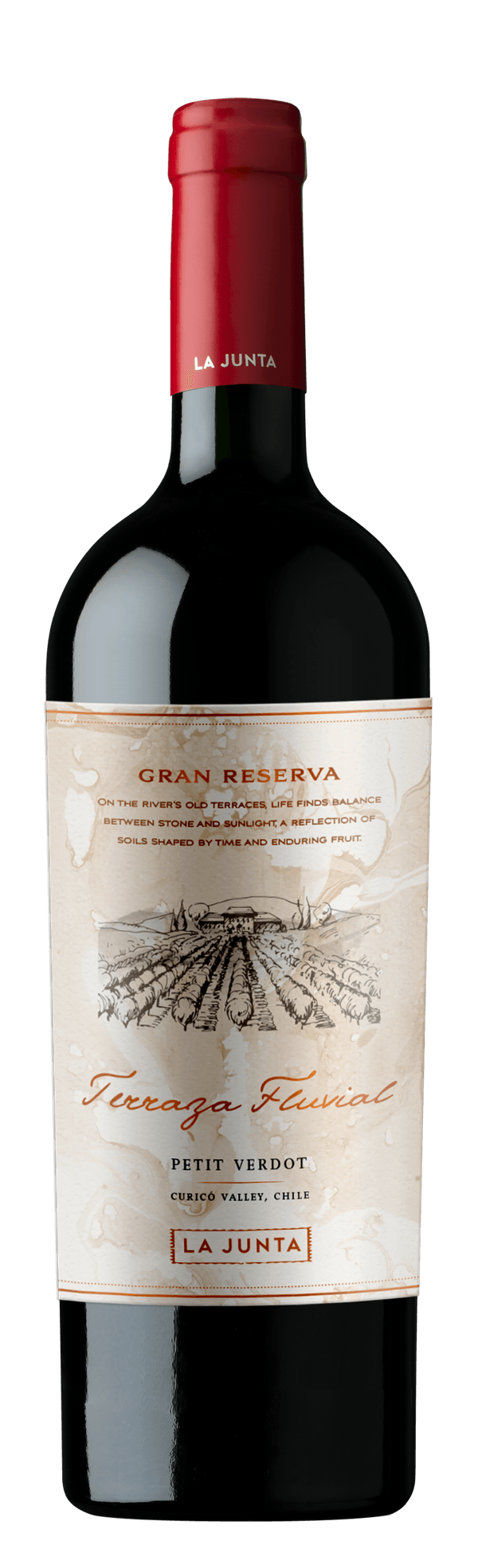 Vinho Tinto Chileno Terraza Fluvial Gran Reserva Petit Verdot
