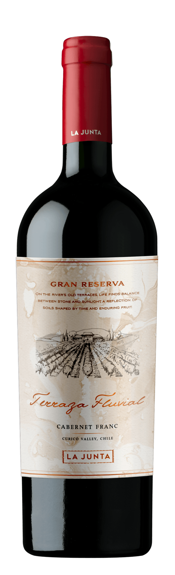 Vinho Tinto Chileno Terraza Fluvial Gran Reserva Cabernet Franc