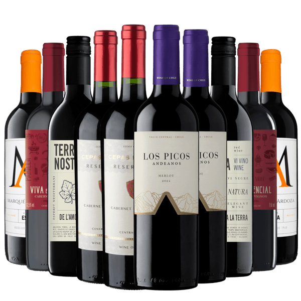 Kit 10 Vinhos Mais Vendidos